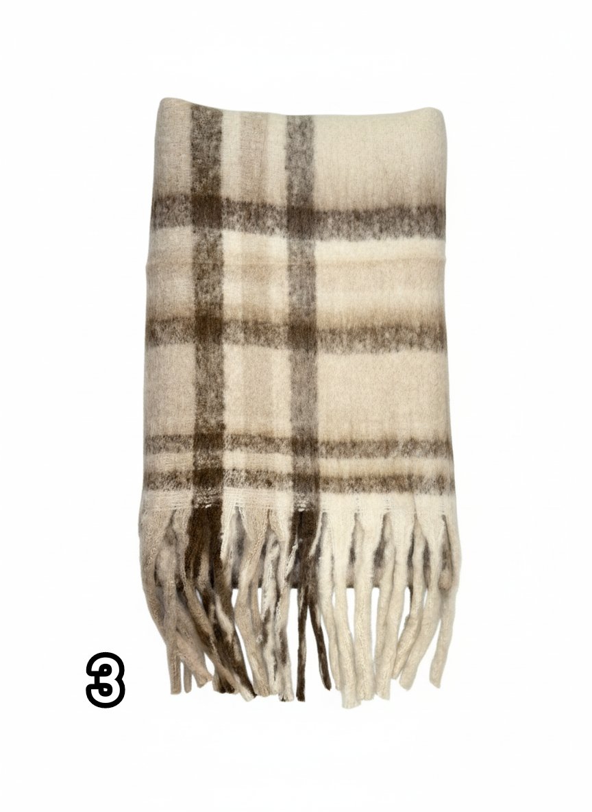 IMG_۲۰۲۵۱۱۱۰_۱۷۱۷۴۶